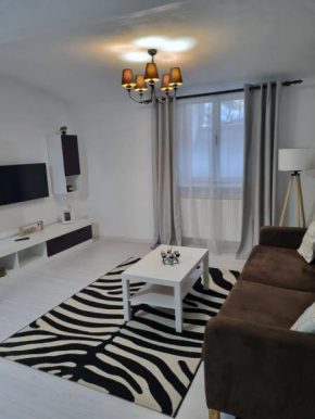 Creative Apartment